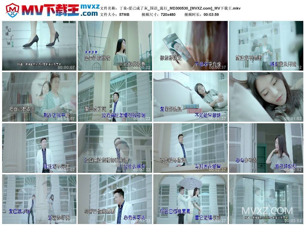 丁童-爱已成了灰_国语_流行_MD300530